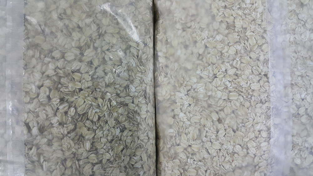 phan-biet-yen-mach-02